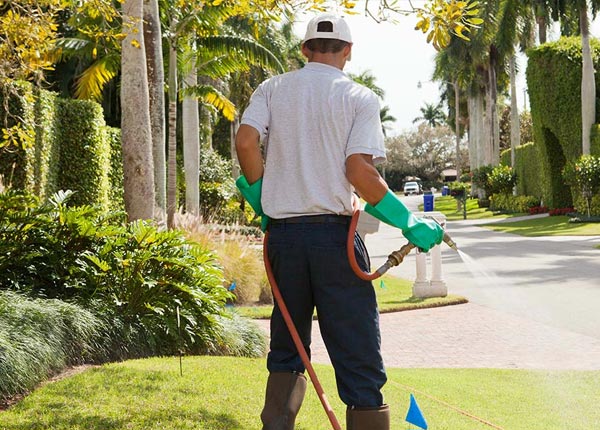 About Loami IL Pest Control